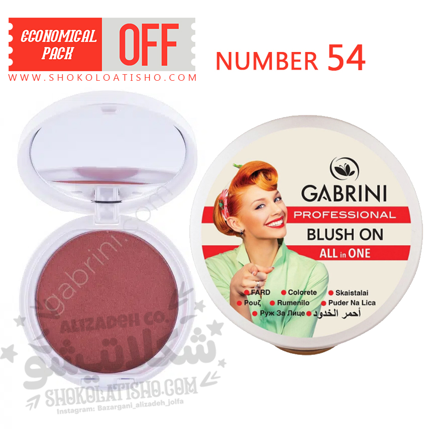 رژ گونه گابرینی Gabrini شماره 54